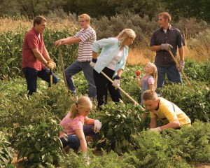 jardinería-mormones