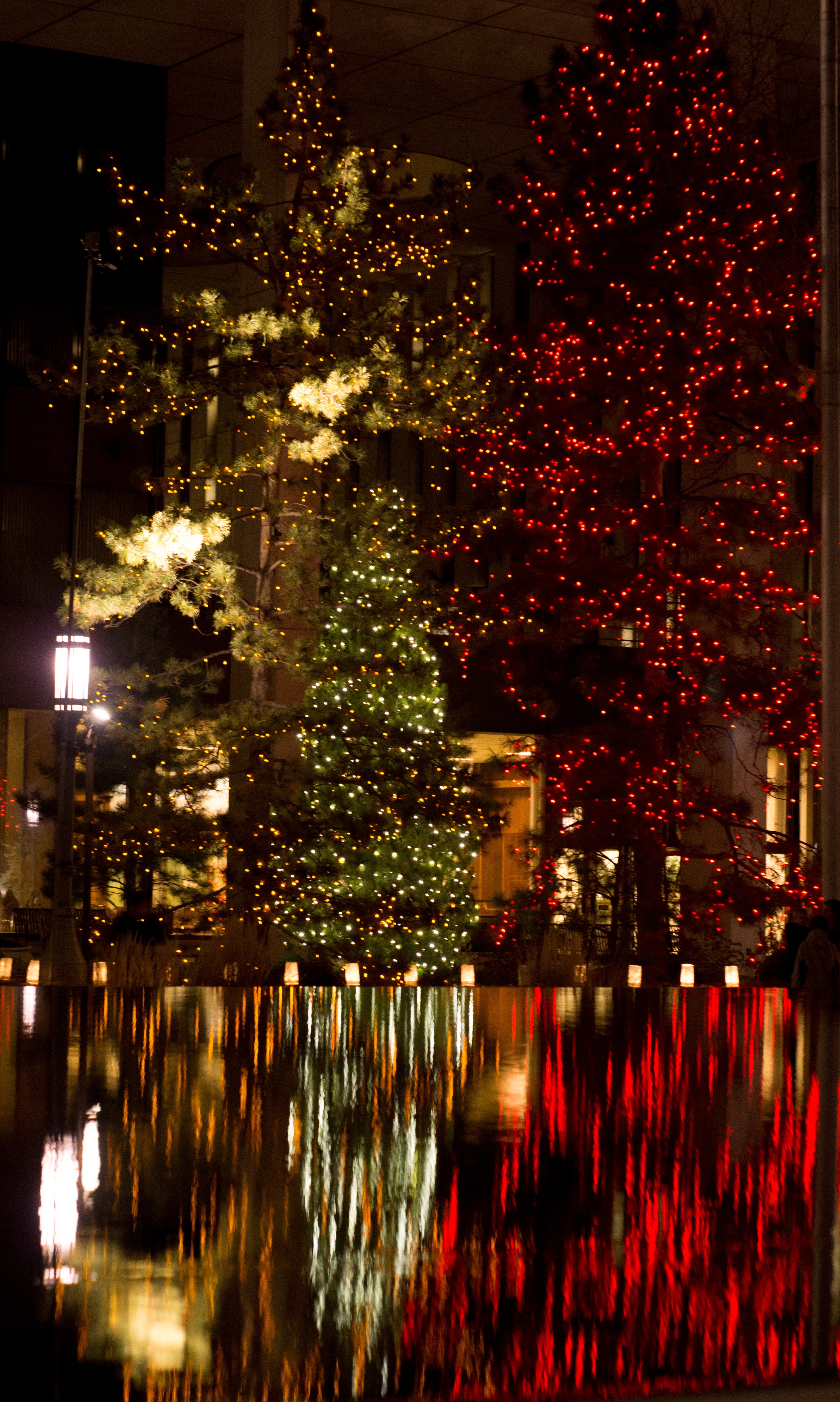 Temple_Square_lights5_2014